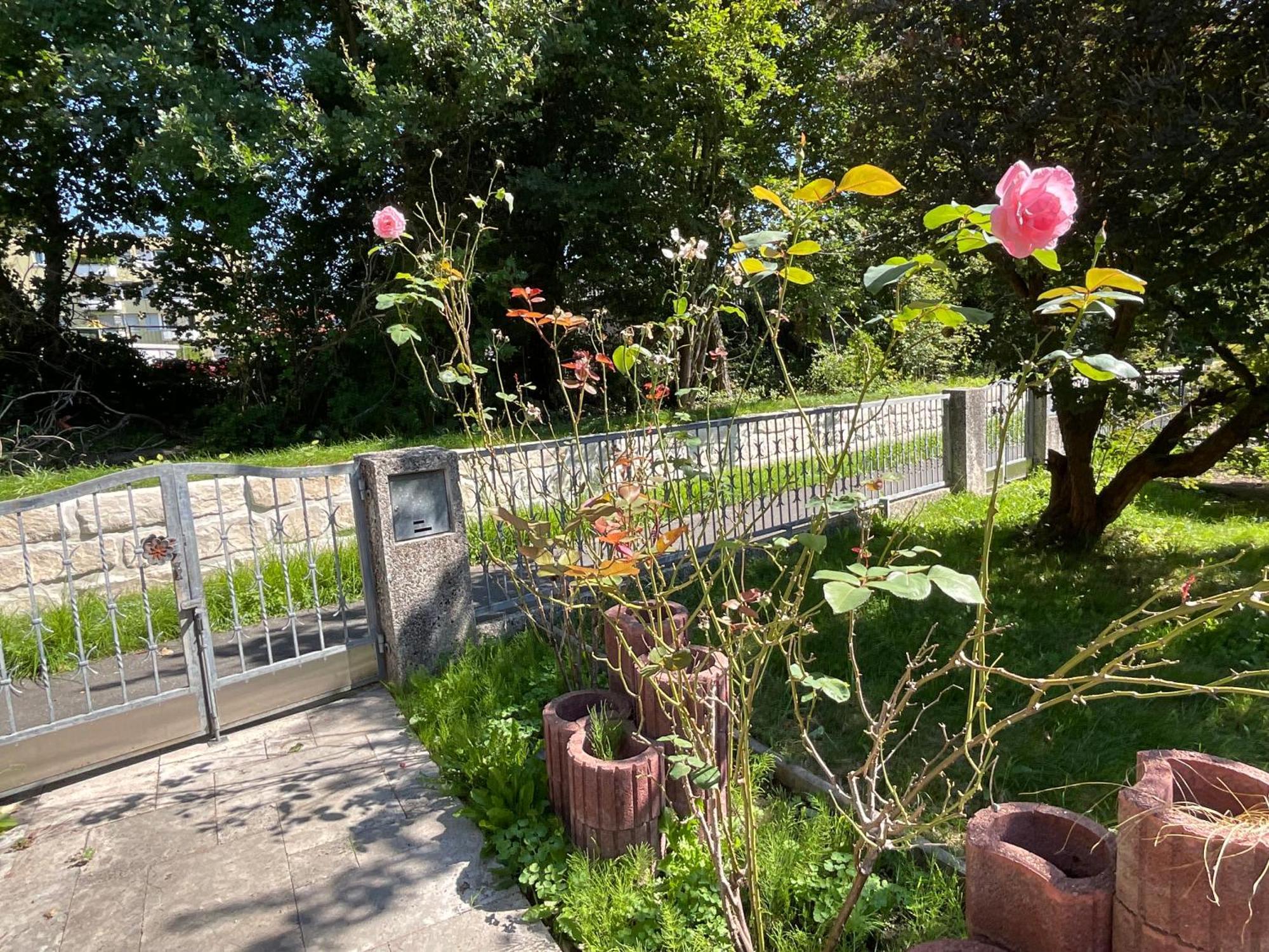 Messe-Apartment, 4 Schlafzimmer, 80 Qm, Garten - 6 Km Zur Messe, Verkehrsguenstig, Ruhig, Parkplaetze Neurenberg Buitenkant foto
